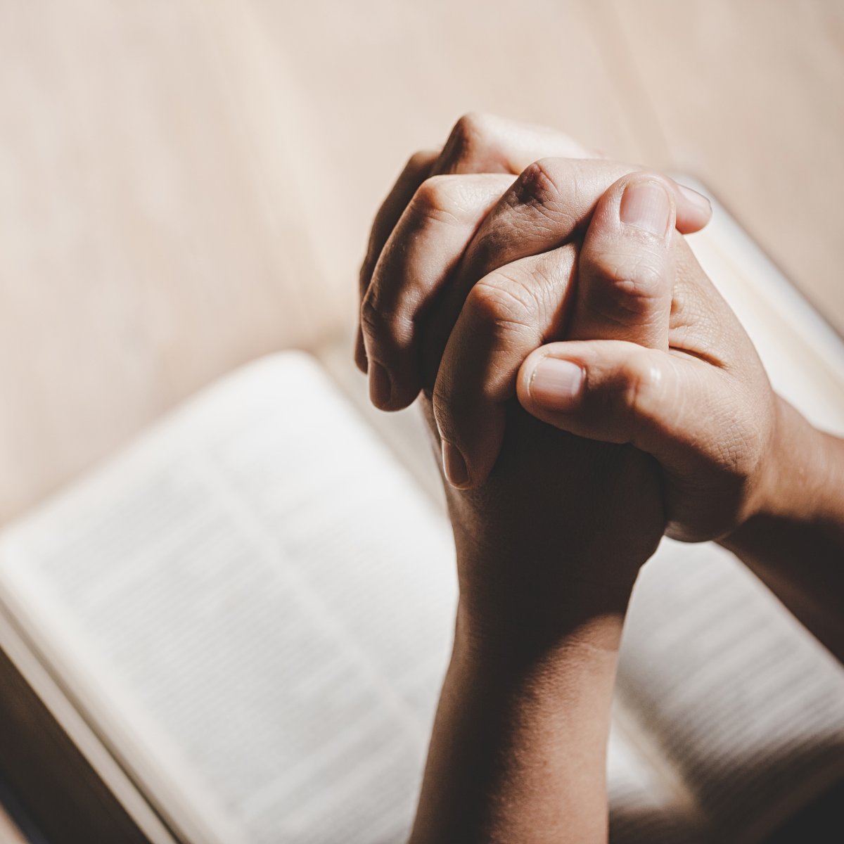 Lectio Divina